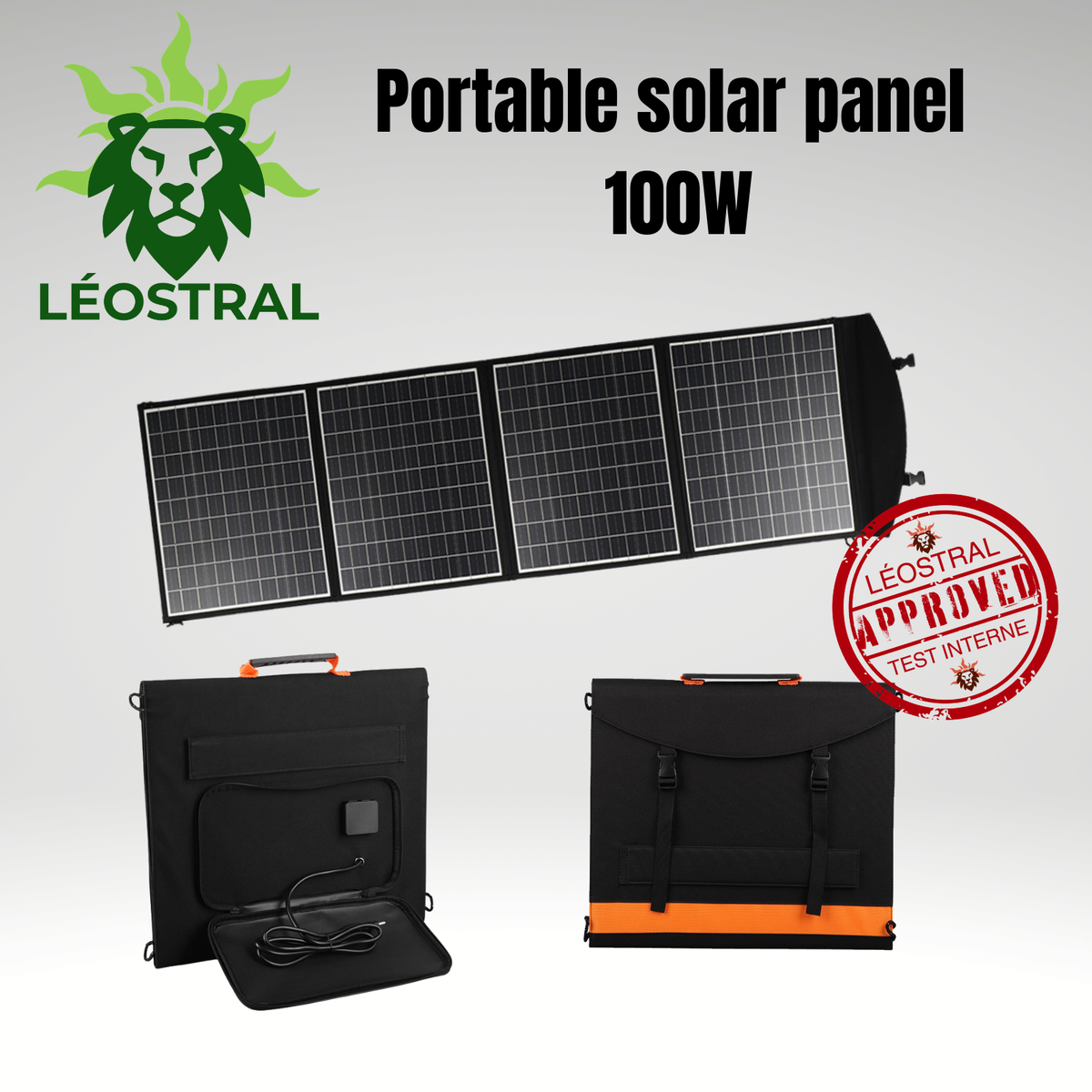 Panneau solaire portable pliable 100 W LÉOSTRAL avec cellules monocristallines haute efficacité