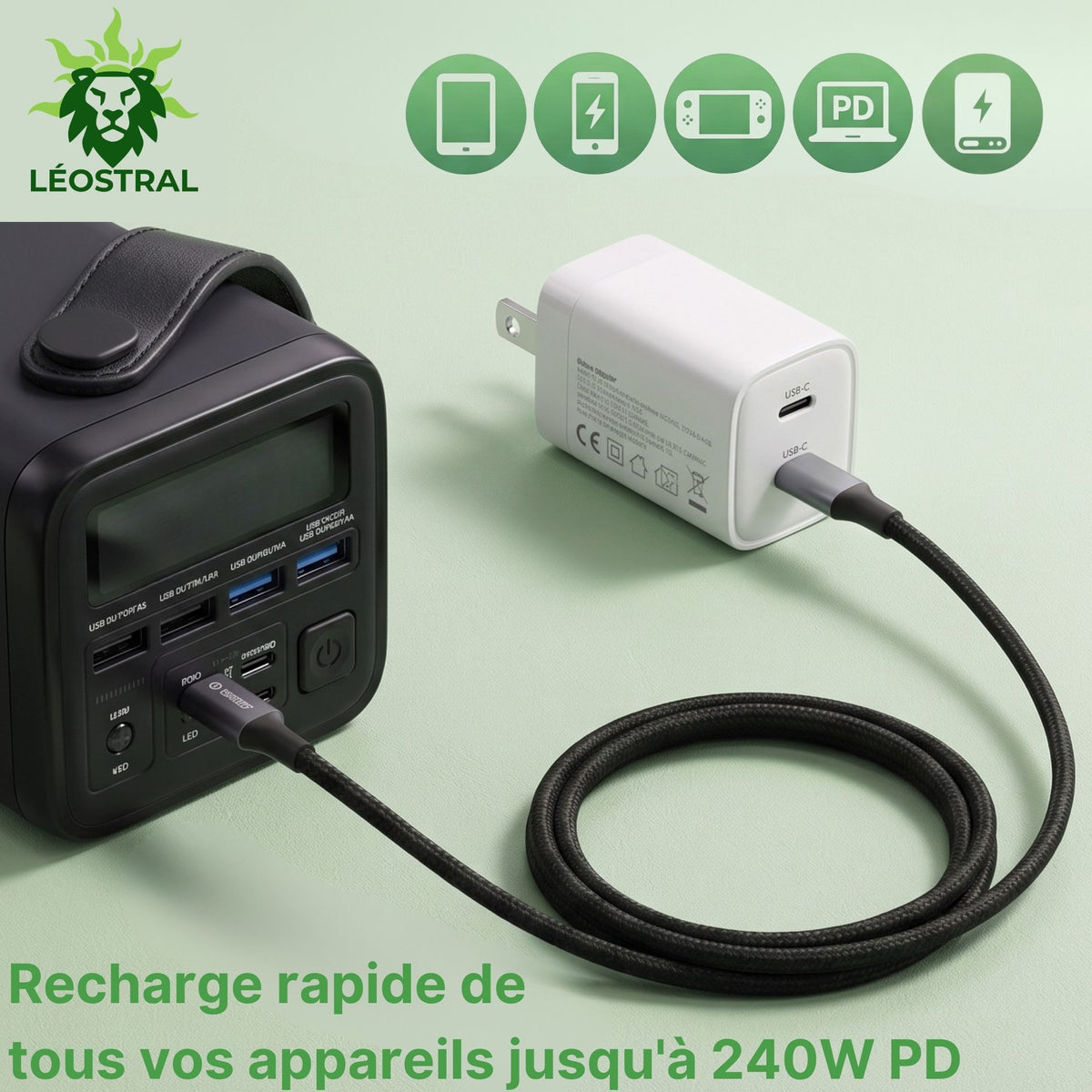 Câble USB-C LÉOSTRAL compatible charge rapide USB PD 3.1 jusqu'à 240 W pour ordinateur, smartphone et tablette