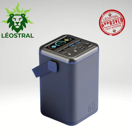 Batterie externe haute capacité 60000mAh PD 100W LÉOSTRAL avec poignée de transport, écran numérique intelligent et ports USB et Type-C